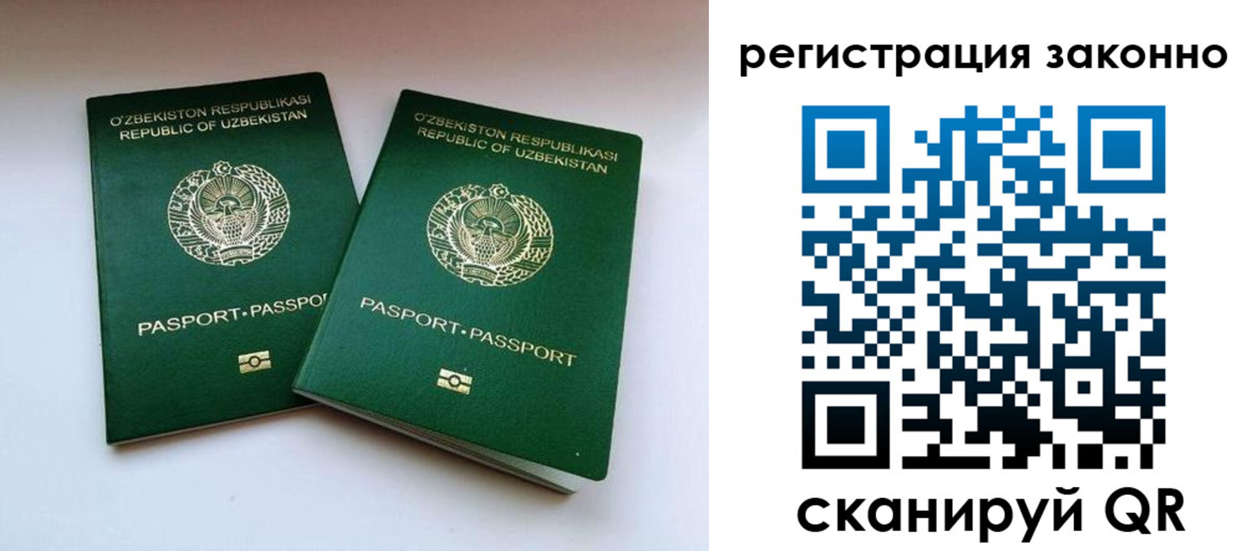 прописка гарантия в Шелехове